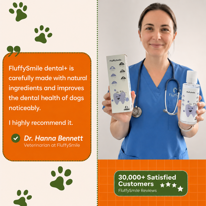 FluffySmile Dental+